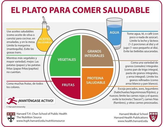 Así es el Plato para Comer Saludable recomendado por Harvard