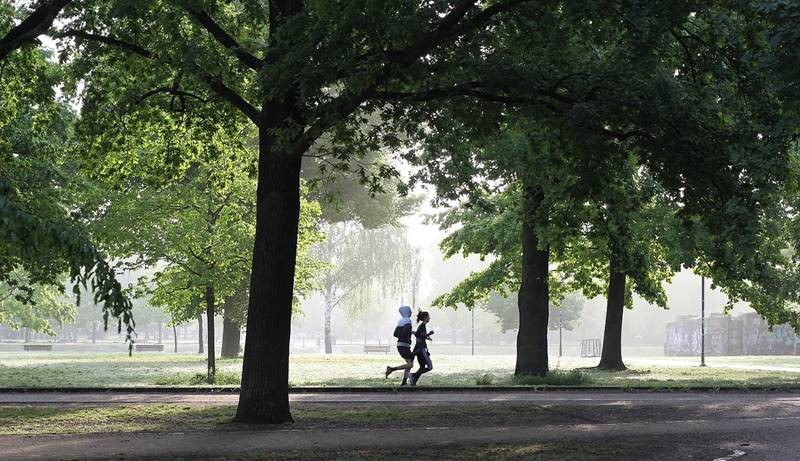 Las zonas verdes urbanas incitan a realizar ejercicio