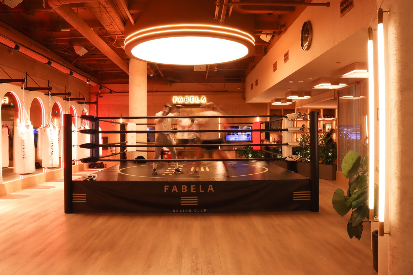 Fabela Boxing Club prevé expandirse con ocho aperturas