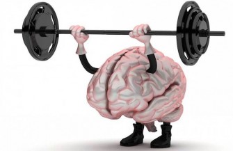 Acudir al gimnasio después de estudiar mejora la memoria