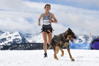 120 mushers y 300 perros en el Campeonato de España de Mushing Sprint Nieve
