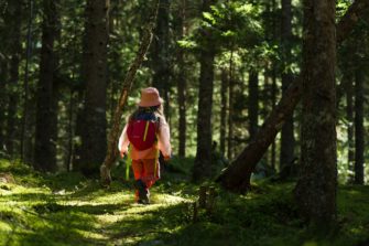 Decathlon y ReTree colaboran para plantar el Bosque Decathlon