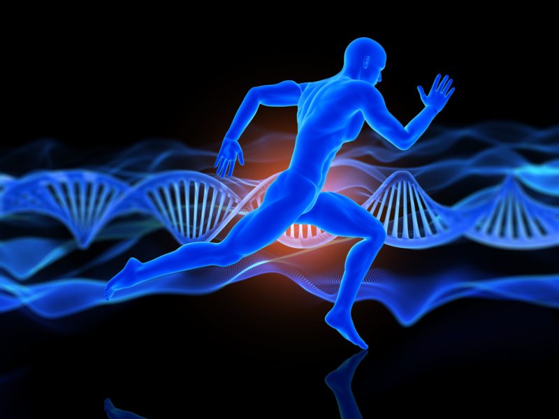 Qué es la Fisiogenómica y sus beneficios para el deportista